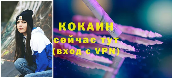 дживик Лабытнанги