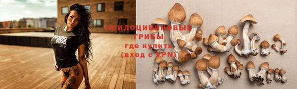 мяу мяу мука Ладушкин