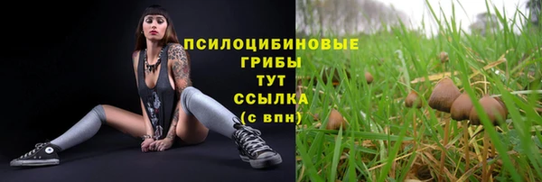 скорость mdpv Лагань