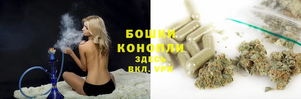 мяу мяу мука Ладушкин