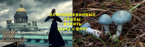 дживик Лабытнанги