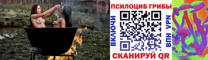 наркотики  Тында  Галлюциногенные грибы Psilocybe 