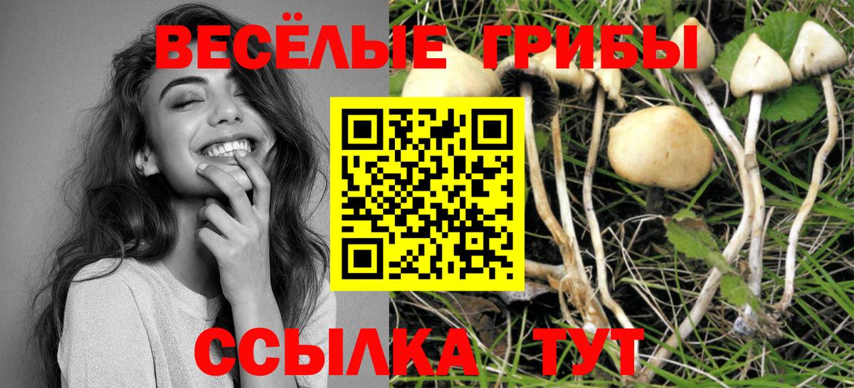ГАШ  Вход с VPN  Тында  Меф кристаллы  Марихуана 